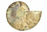 Cut & Polished Ammonite Fossil (Half) - Madagascar #308091-1